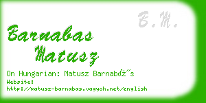 barnabas matusz business card